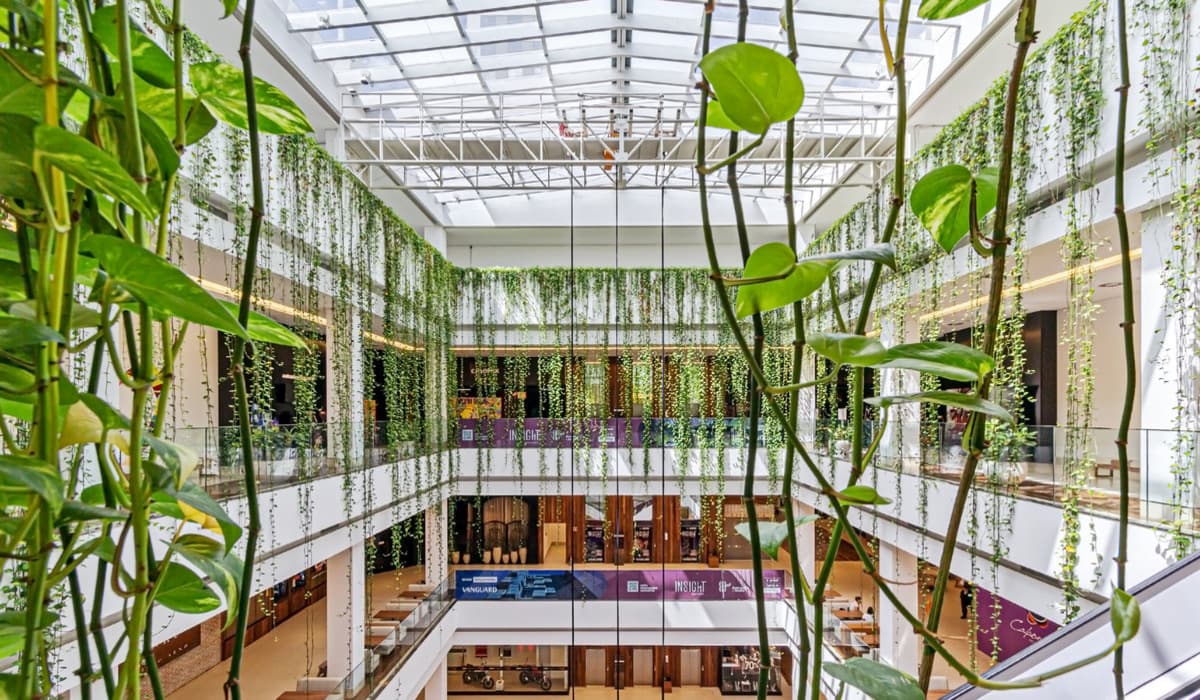 Galeria do shopping 2