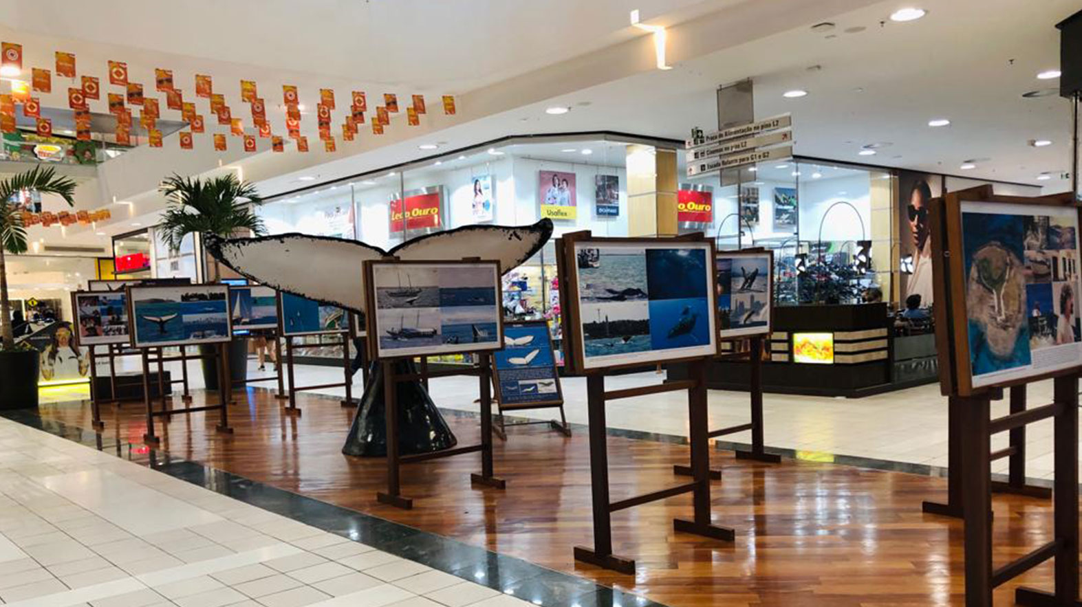 Galeria do shopping 6